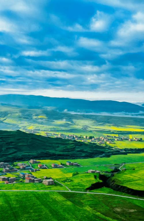 国国内清清草原免费视频99