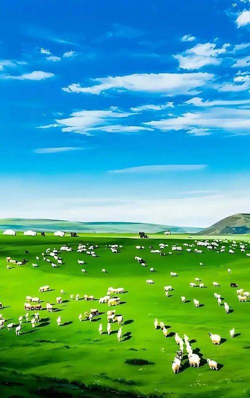 国国内清清草原免费视频99