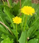 野花社区视频大全高清版