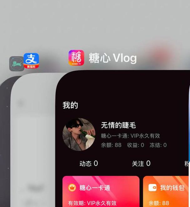 糖心vlog免费版