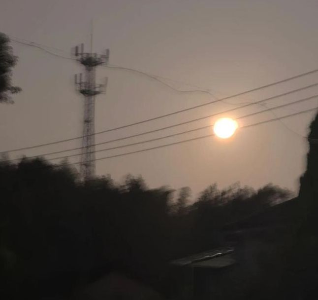 月光视频在线下载