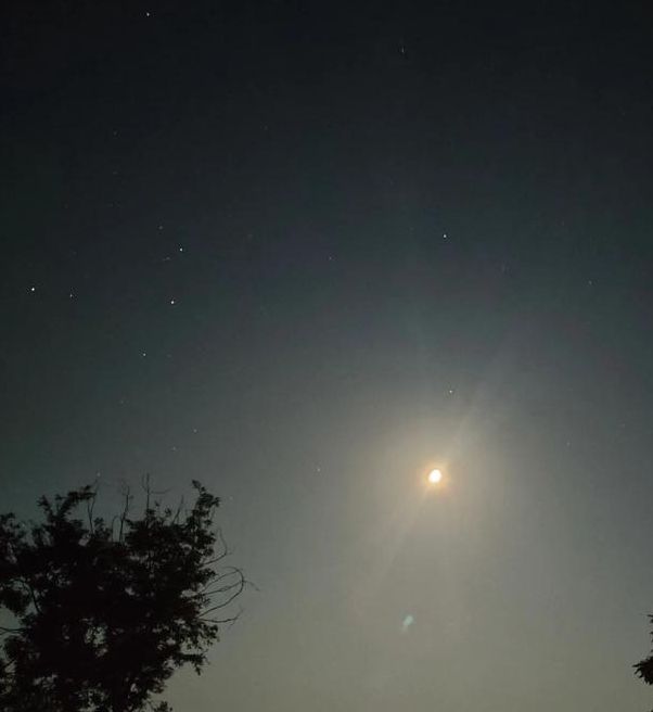 月光视频在线下载