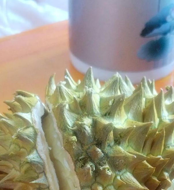 榴莲视频官网welcome