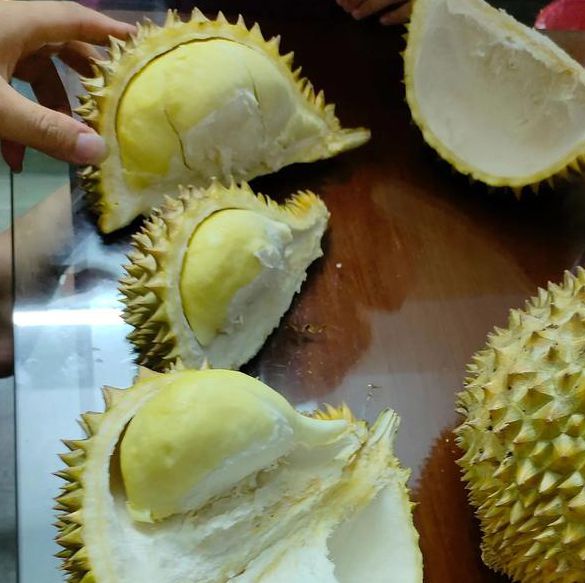 草莓榴莲正版深夜释放自己