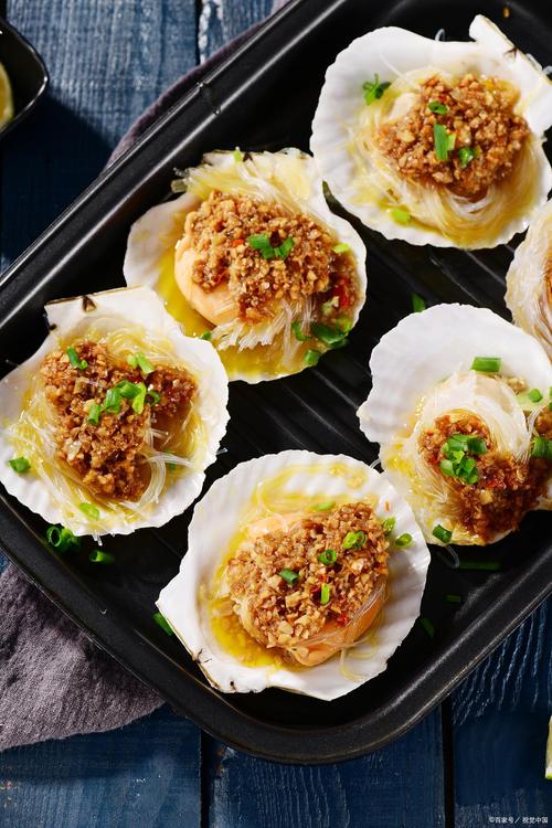 扇贝视频无限看