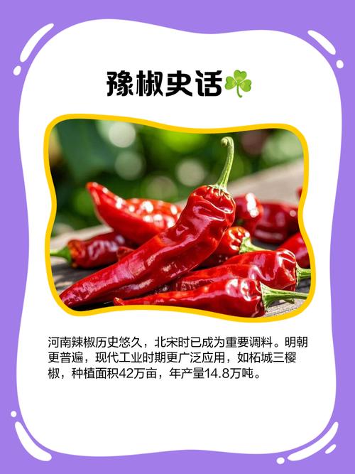 辣椒汅api免费最新版