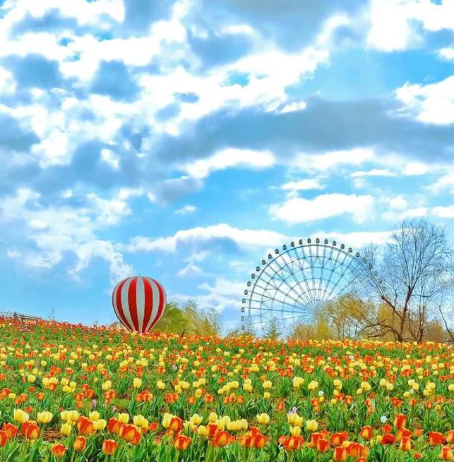 花海直播在线观看