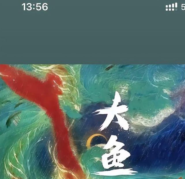 大鱼影视官网版