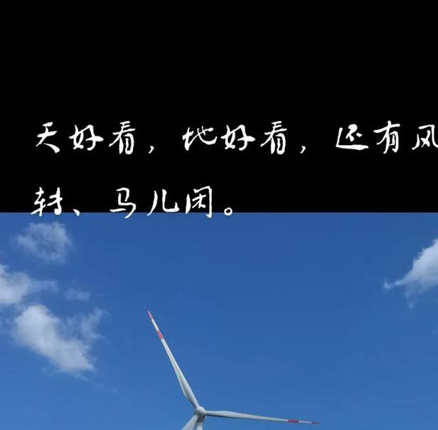 风车影视最新版本