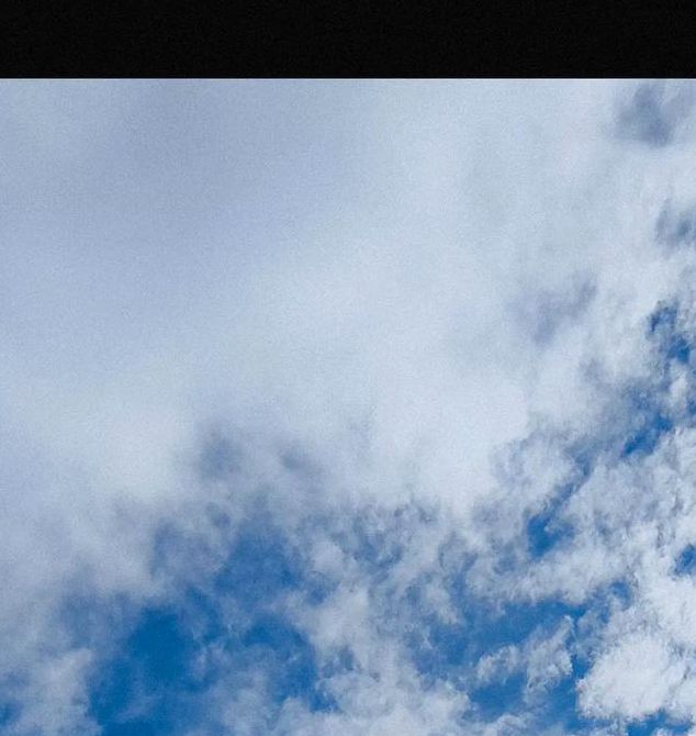 风车影视最新版本