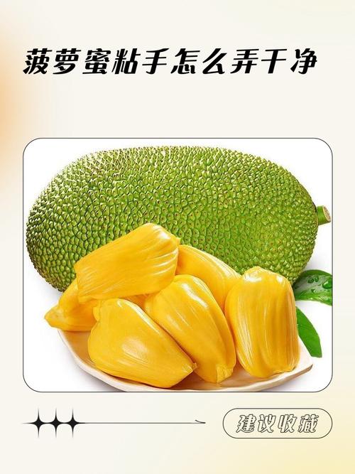 菠萝蜜国际通道一区APP