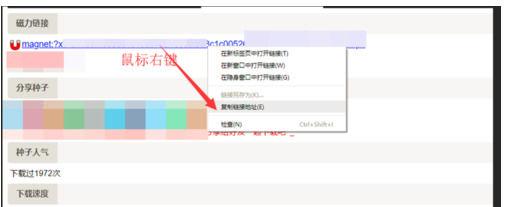 BT磁力天堂torrentkitty