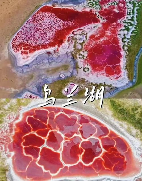 阿拉善1对7完整视频