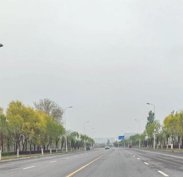 开车视频疼痛有声音