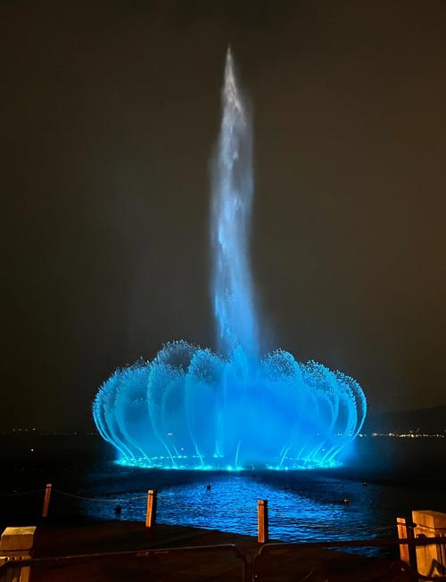 在线好看的喷泉视频