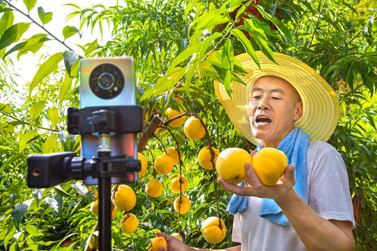 水果直播在线播放