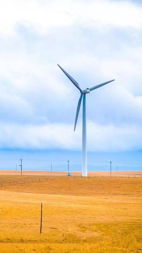 风车影视手机版