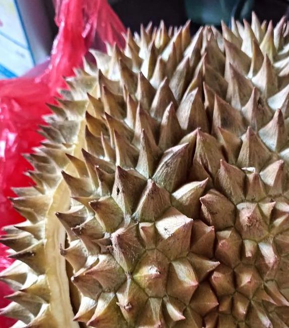 富二代榴莲观看在线