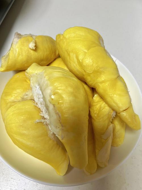 富二代榴莲观看在线