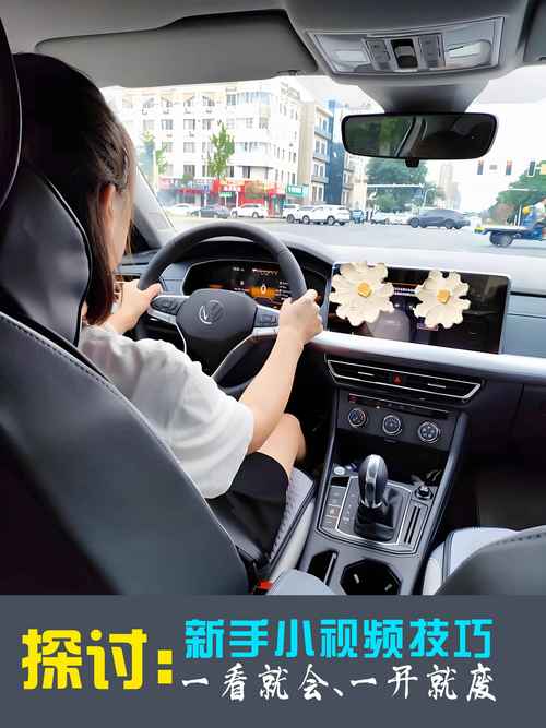 老司机开车在线观看视频