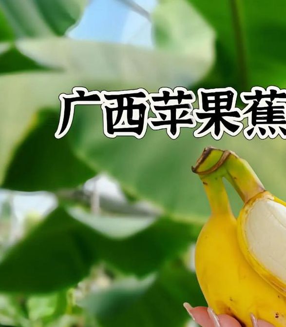 爬爬爬视频免费无遮挡大香蕉