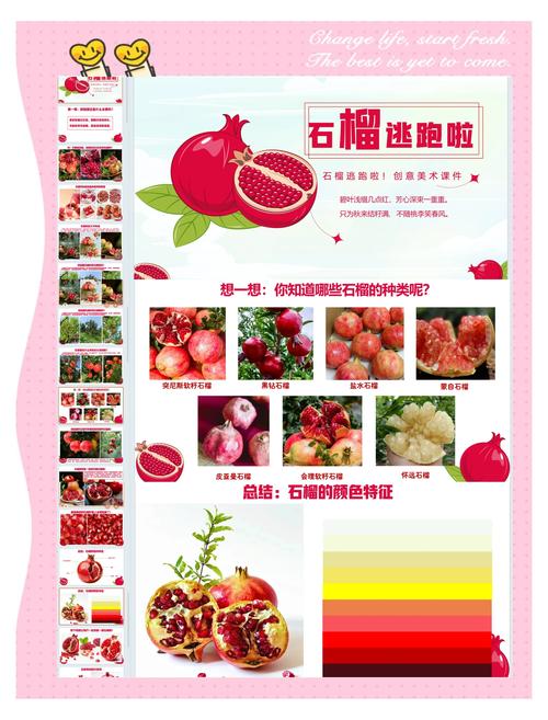 草莓丝瓜榴莲秋葵石榴免费版