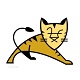Tomcat 免费版 v11.0.13