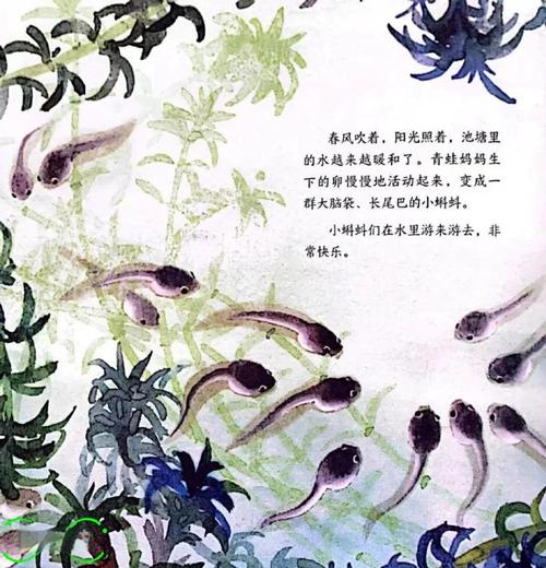 小蝌蚪免费高清版