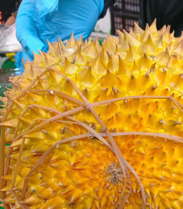 ll999榴莲aplaceholder免费最新下载安装