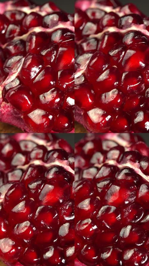 石榴视频无线观看