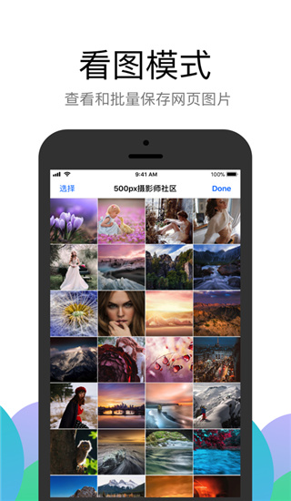 Alook浏览器官网版