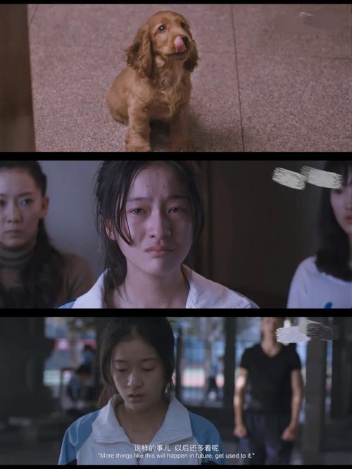 狗十三完整版手机在线观看