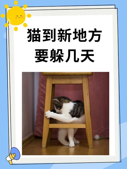 小奶猫回家地址github平台下载