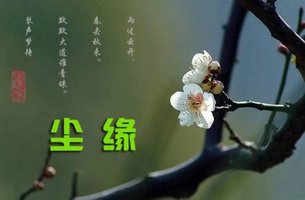 尘缘txt全集下载