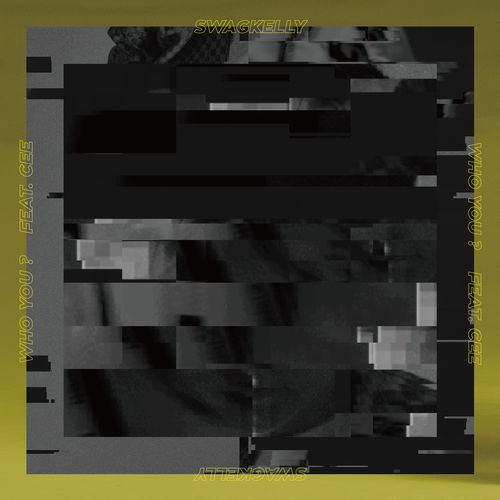 国产swag在线精品无码