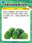 绿巨人苹果香蕉榴莲秋葵丝瓜导航