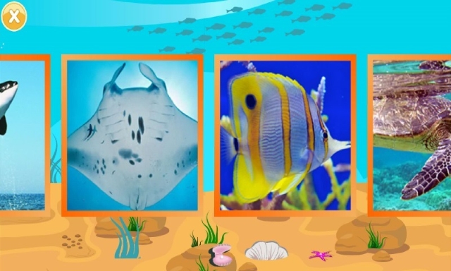 儿童快速识动物(好用婴幼儿早教助手)V1.2 安卓手机版