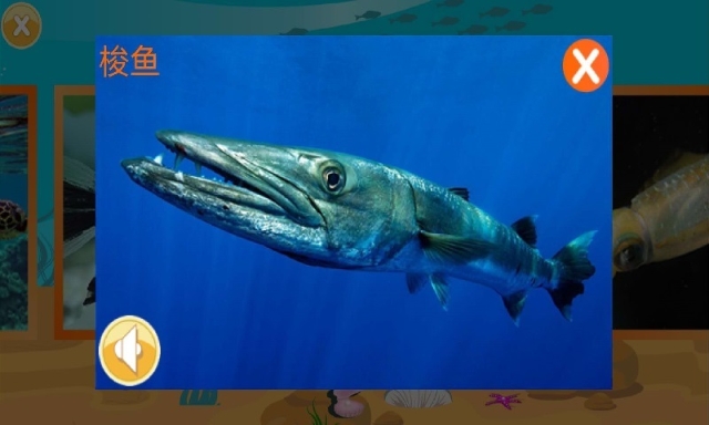 儿童快速识动物(好用婴幼儿早教助手)V1.2 安卓手机版