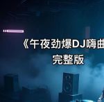 2022午夜dj中文视频