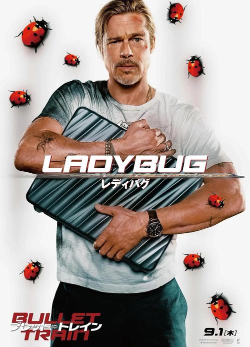 皮特影院极速版