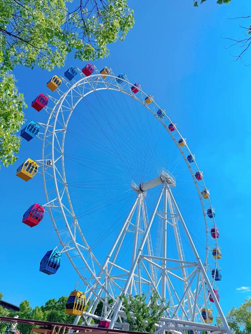 摩天轮在线视频1满18岁