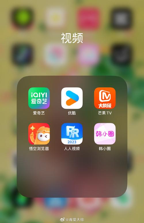 成版人短视频ios