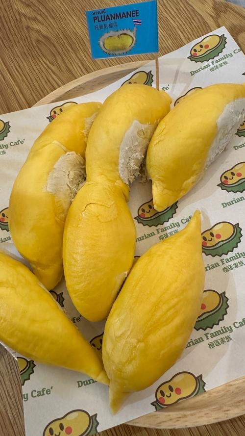 榴莲yellow资源在线