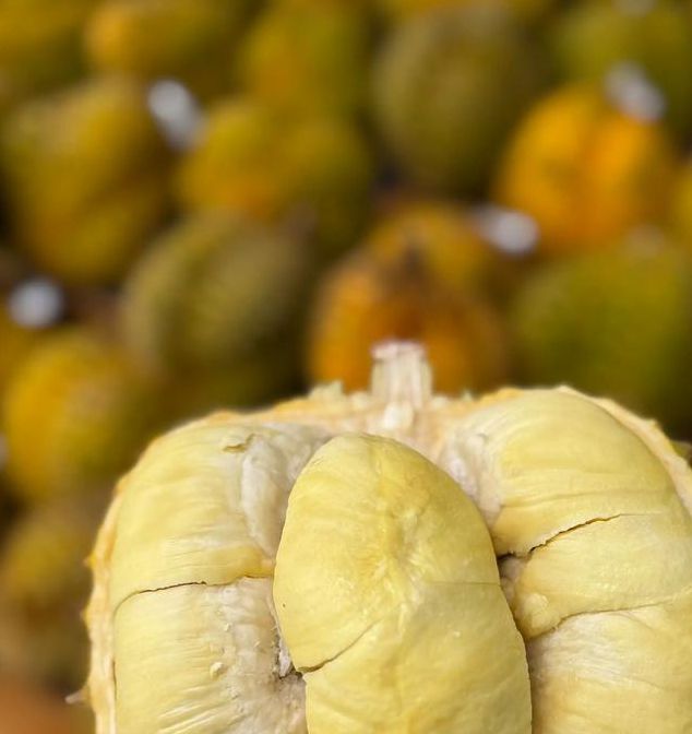 榴莲yellow资源在线