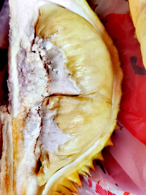 榴莲yellow资源在线