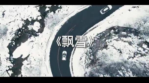 飘雪在线观看免费视频
