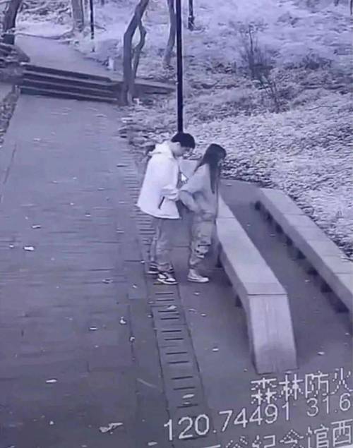 路边搭讪美女树林野战