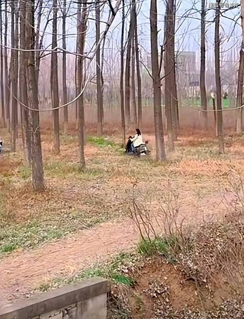 路边搭讪美女树林野战