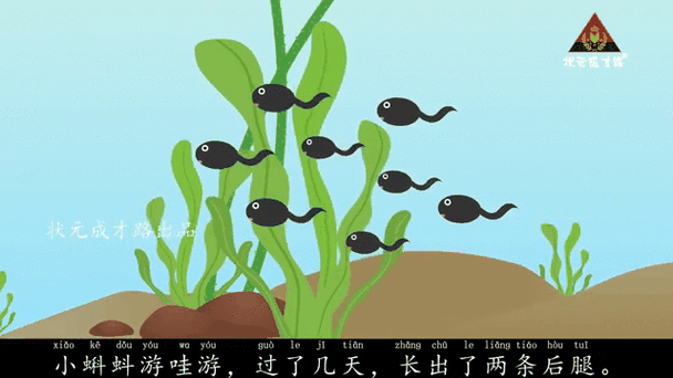 小蝌蚪视频app下载大全小蝌蚪免费观看