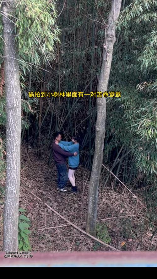 树林老头偷腥视频播放